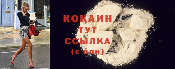 шишки Костерёво