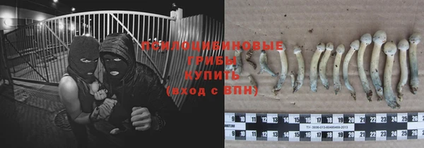 шишки Костерёво