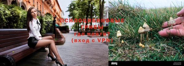 ПСИЛОЦИБИНОВЫЕ ГРИБЫ Коряжма
