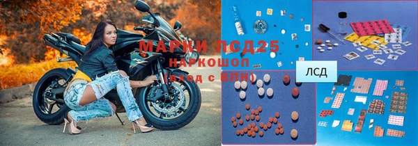 ПСИЛОЦИБИНОВЫЕ ГРИБЫ Коряжма